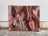 肉帘 (Carnal Curtain)